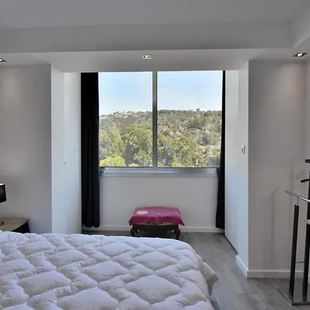In A 8 Hectares Park Incredible View Apartment Cannes